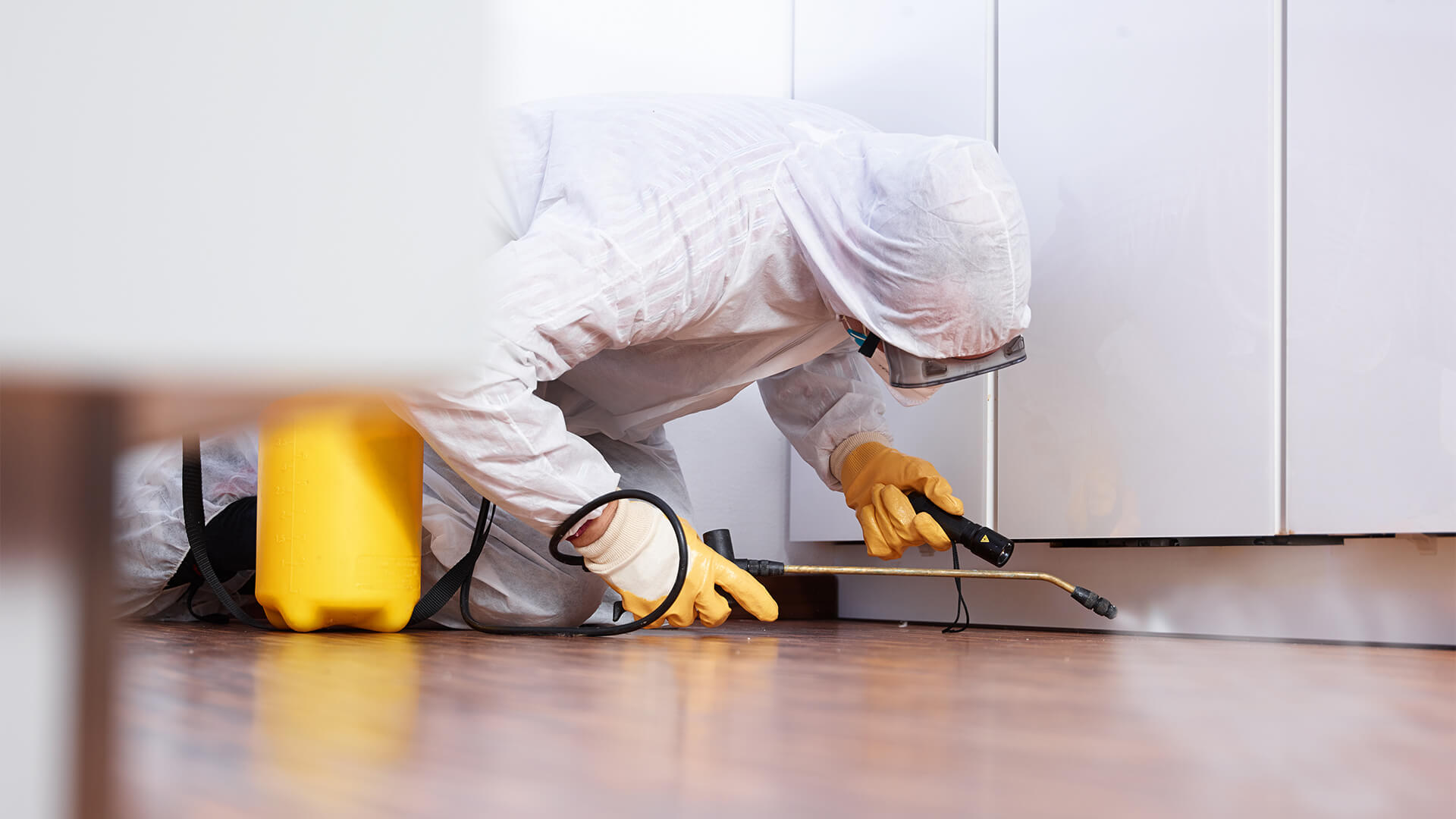 Commercial Pest Control: Addressing Common Challenges