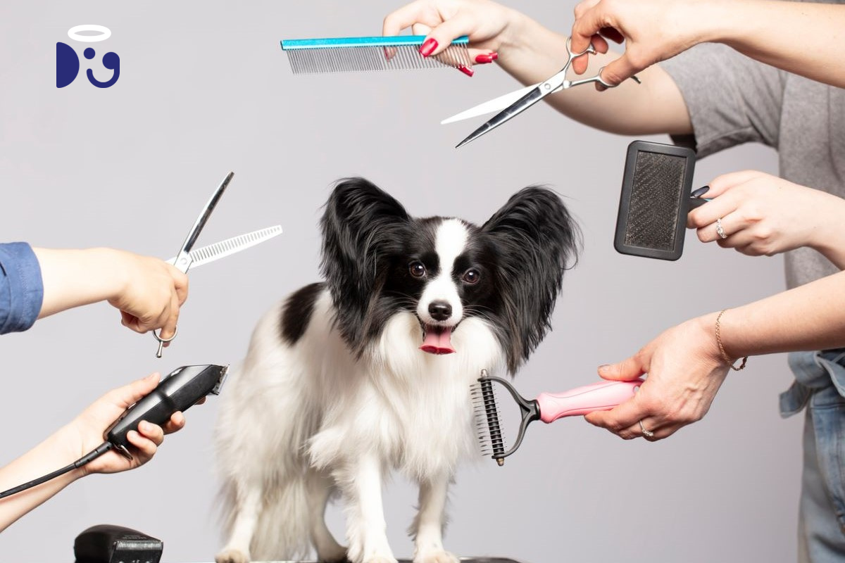 Grooming Guru: Mastering the Craft of Dog Grooming