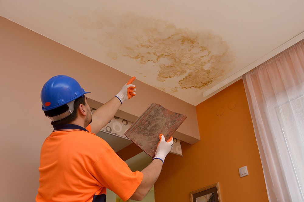 Expert Water Damage Restoration Techniques