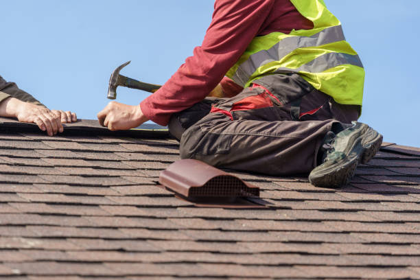 Reaching New Heights: The Evolution of Roofing Contractors