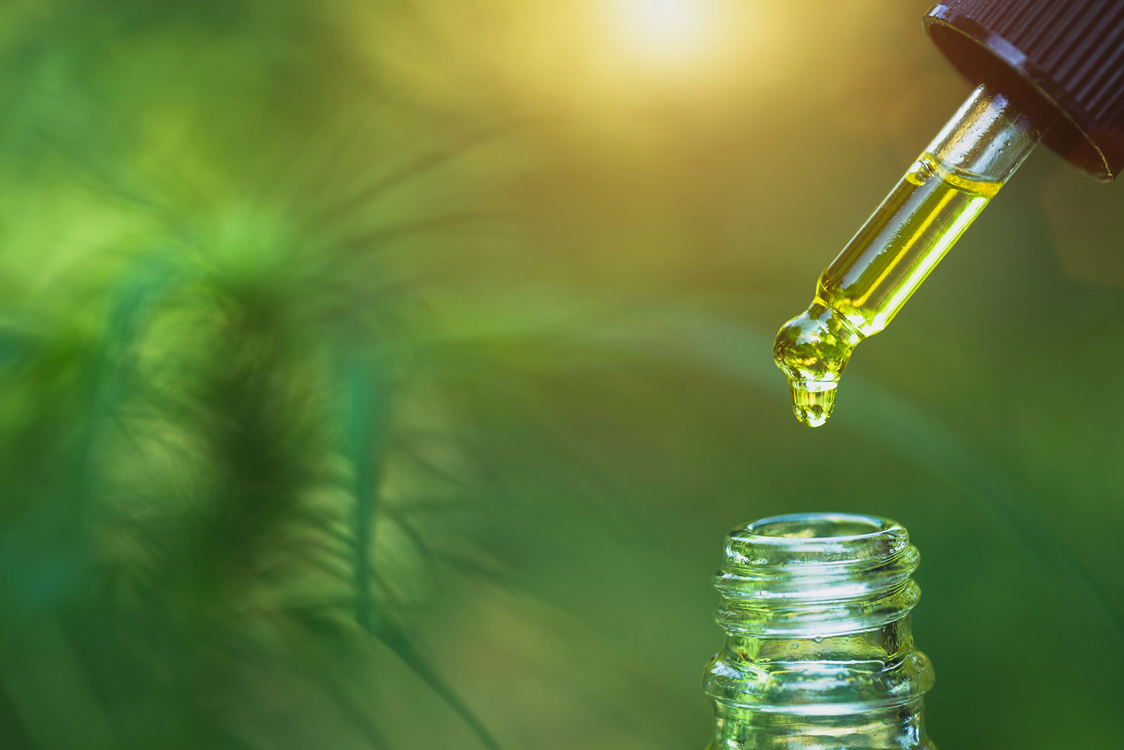 Innovative Uses for CBD Oil Beyond Pain Relief and Stress Reduction