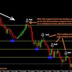 Best Stock Trading App for Indian Stock Market
