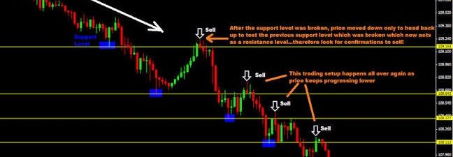 Best Stock Trading App for Indian Stock Market